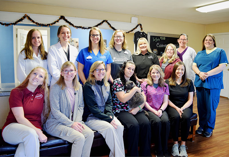 veterinary clinic in Godfrey